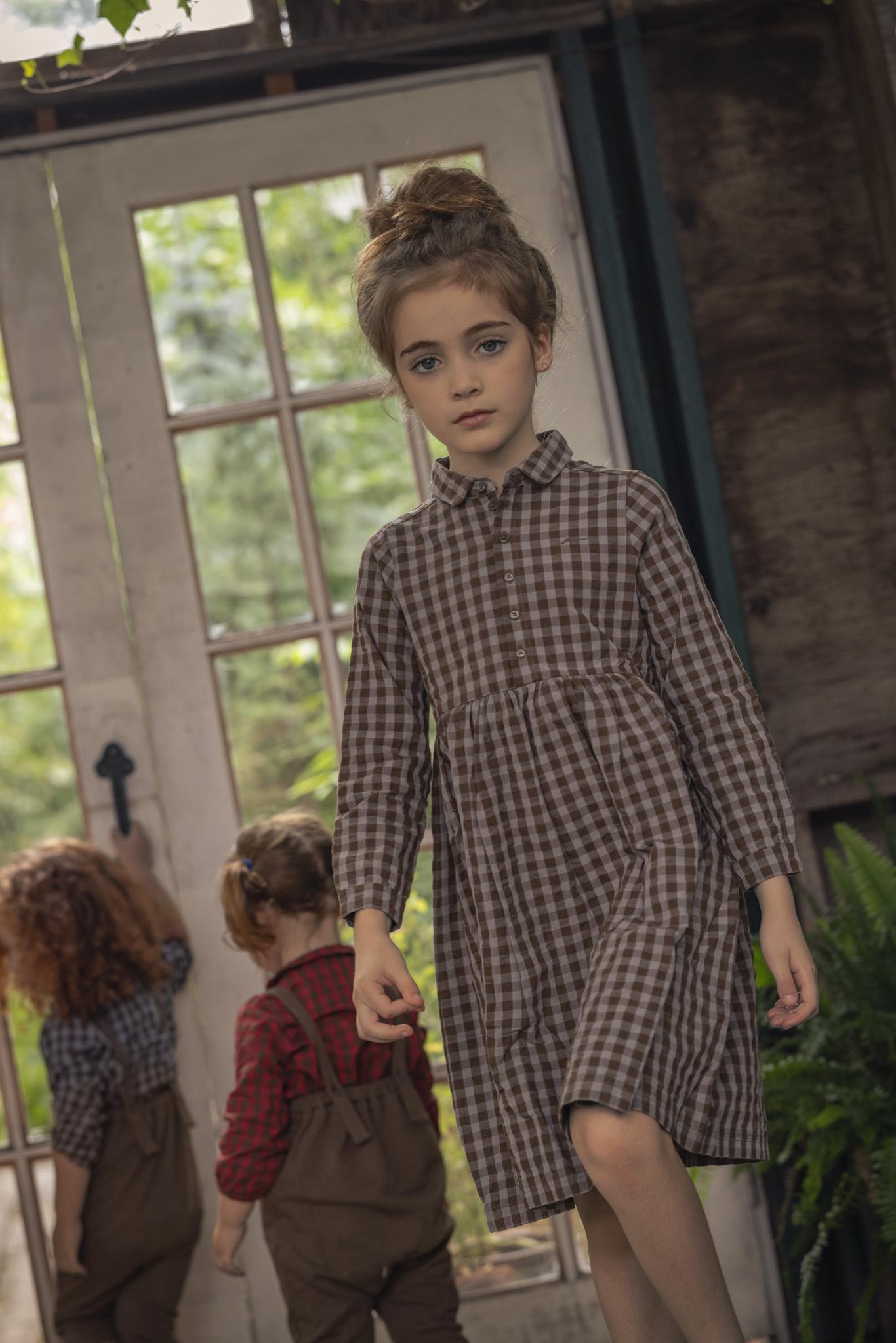 Checkered Shirtdress