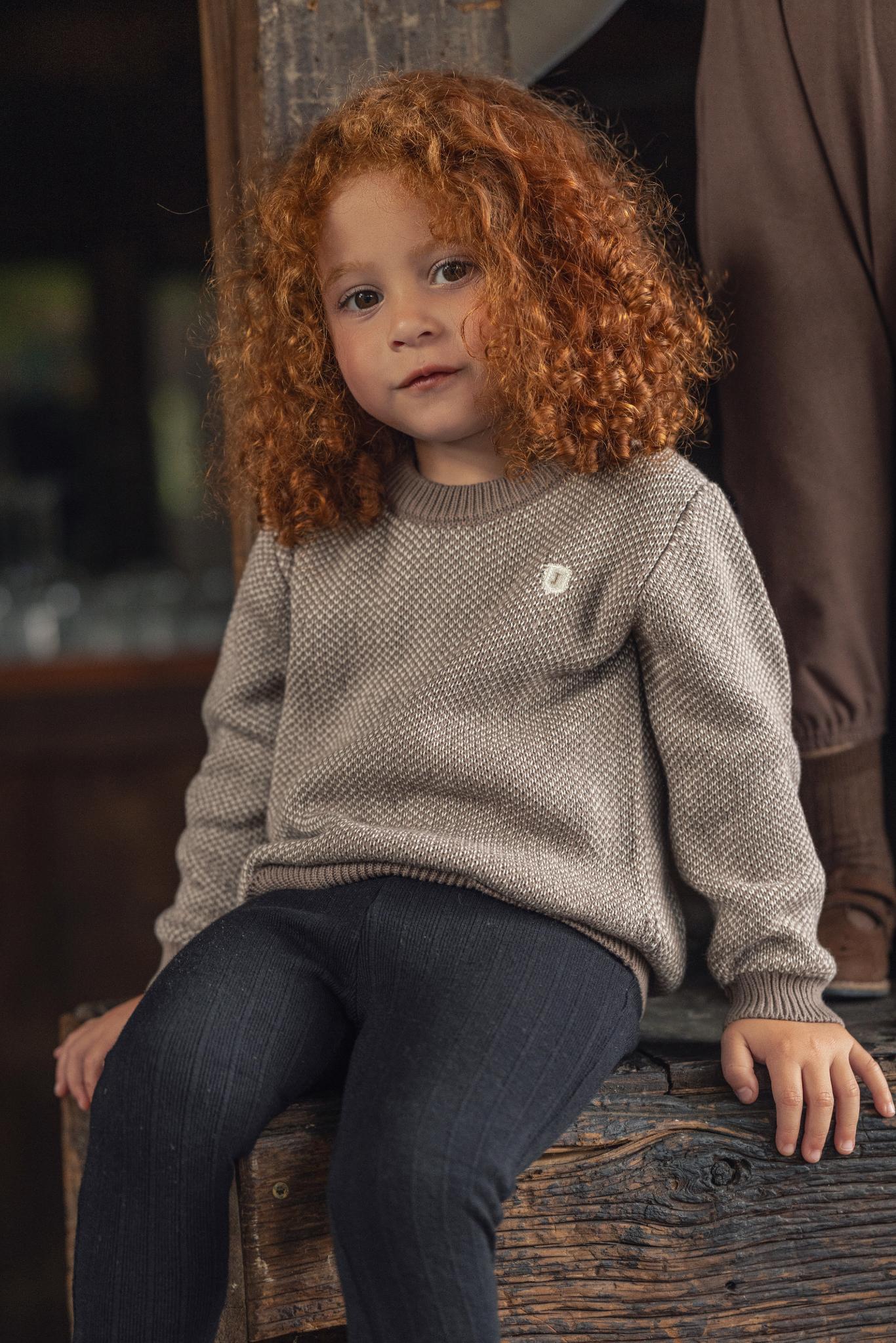 Novelty Knit Crew Neck